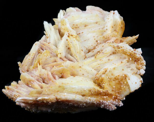 Tiny Red Vanadinite Crystals on Bladed Barite - Morocco #57250